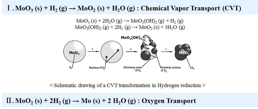 Hydrogen-reduction mechanism of MoO3 powder