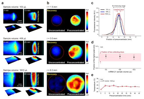 miRNA-21을 이용한 농축 특성 평가. (a) 샘플용량에 따른 농축 경향 (b) 수집 디스크에서의 농축 전후 (c) 농축 위치 (d) 샘플 용량에 따른 농축 위치 (e) 농축시 온도