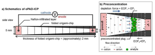 종이 적층 구조에서 이온분극현상(ICP) 유도를 위한 이온투과막 형성 및 소자 원리 (a) 실험에 사용된 종이소자 도안 (b) 종이 소자 내의 농축 플러그의 움직임 관찰