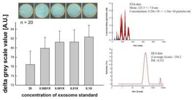 종이기반의 ELISA을 이용해서 검출한 exosome 결과