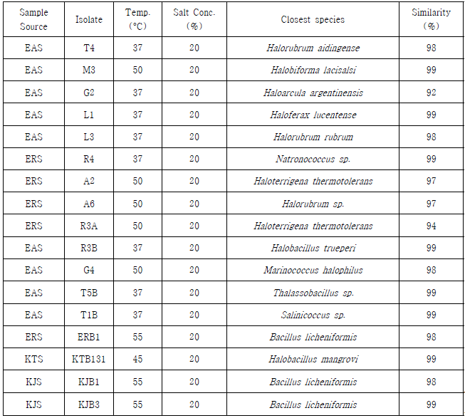 분리 동정된 호염성 극한미생물 리스트