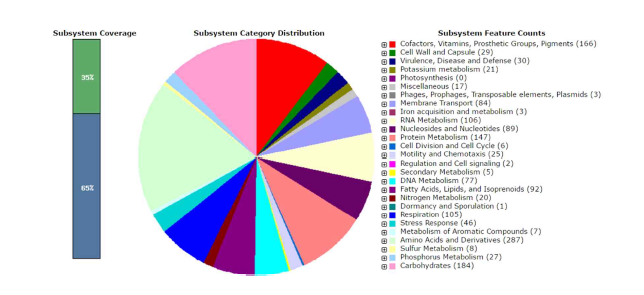 The subsystem category distribution statistics for Halorubrum yetnora SAH-A6