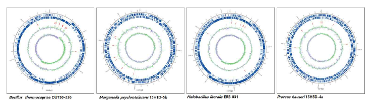 국내 온천지역에서 분리한 극한미생물의 dfrat genome