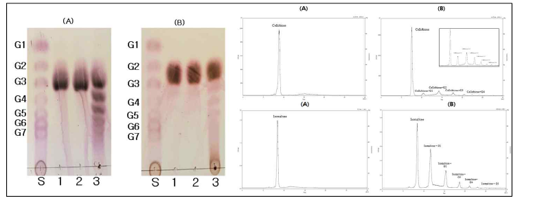 NA23_09645의 이소말토스(A)와 셀룰로스(B) 베이스 올리고당 합성 결과