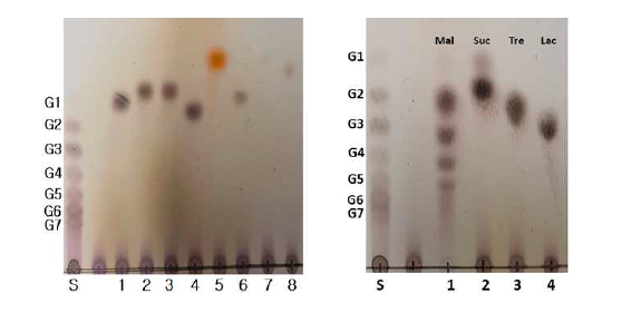 단당 및 이당류의 당주개 효과 분석 (A, 단당류 1, Glucose; 2, Allulose; 3, Tagatose; 4, Galactose; 5, Rhamnose, 6, Arabinose; 7, 2-Deoxy-d-ribose; 8, Xylose) (B, 이당류 1, Maltose; 2, Sucrose; 3, Trehalose; 4, Lactose)