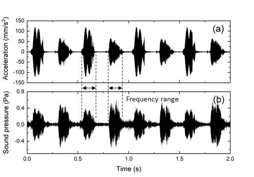 필터된 진동 및 소음 결과(4500-6000Hz Band Pass filter) (a)진동 결과(mm/s2), (b)스퀼 소음 결과(Pa)