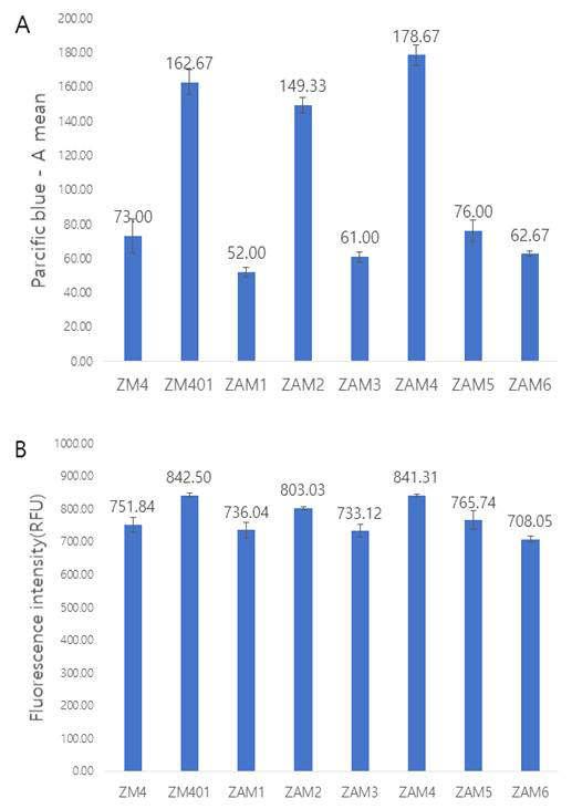 Phosphodiesterase 결손균주를 이용하여 calcofluor-white staining한 후 A) Flow cytometry를 이용하여 parcific blue channel(BD FACSVerse)에서 측정한 fluorescence intensity 값 비교. B) multimode microplate reader를 이용하여 excitation 355nm, emission 433nm에서 측정한 fluorescence intensity 값 비교