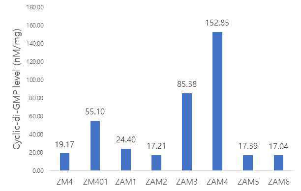 LC/MSMS로 정량 분석한 여러 가지 Z. mobilis 균주들의 세포 내 cyclic-di-GMP level