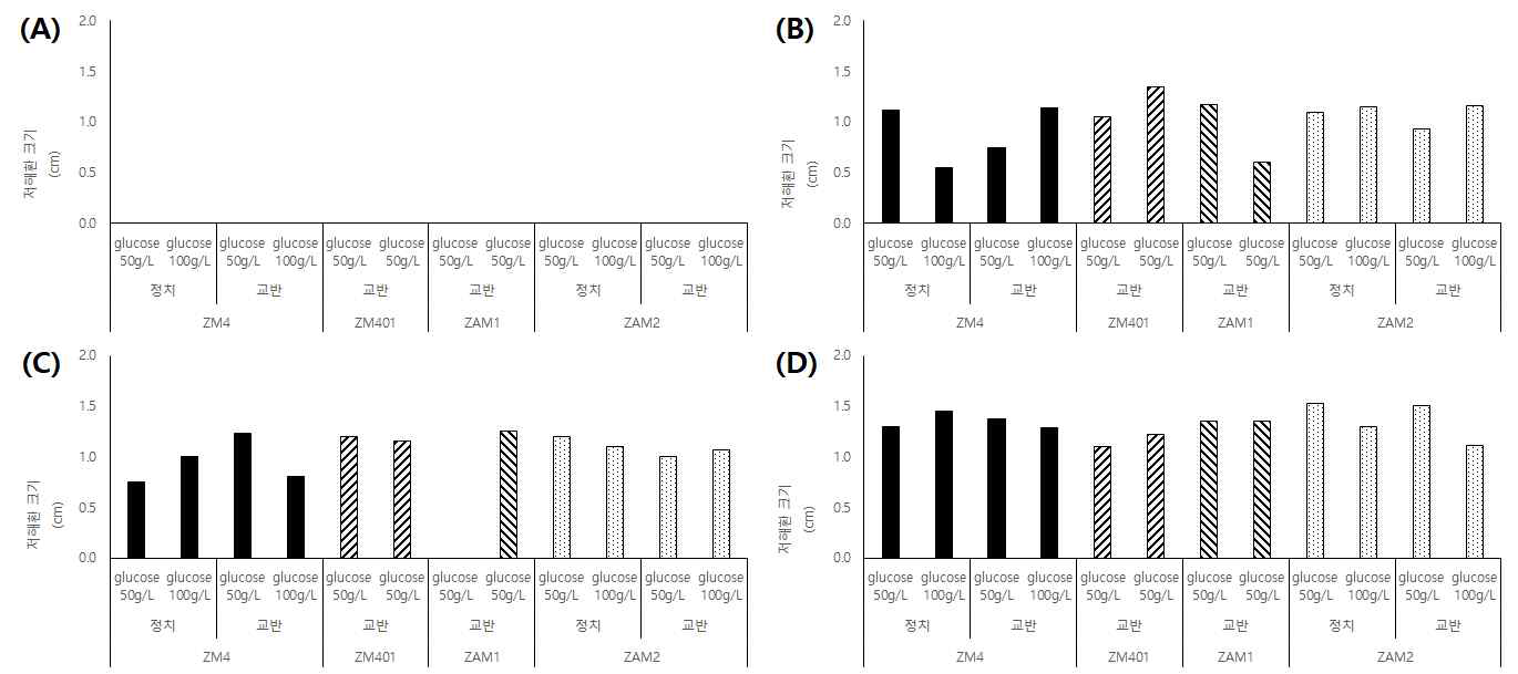 균주를 다양한 배양 조건(glucose 50g/L, glucose 100g/L, 정치배양, 교반배양)으로 배양한 후 배양액을 동결 건조 하여 각각 Hexene, Ethyl Alcohol, Ethyl Acetate, Butanol을 용매로 하여 B. subtilis 대해 항균력 시험 결과. (A)는 Hexene을 용매로 한 항균력 실험결과, (B)는 Ethyl Acetate을 용매로 한 항균력 시험 결과, (C)는 Butanol를 용매로 한 항균력 실험 결과, (D)는 Ethyl Alcohol을 용매로 한 항균력 실험결과