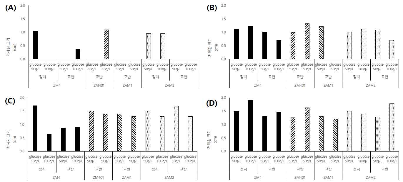 Z. mobilis ZM4, ZM401, ZAM1, ZAM2 균주를 다양한 배양 조건(glucose 50g/L, glucose 100g/L, 정치배양, 교반배양)으로 배양한 후 배양액을 동결건조 하여 각각 Hexene, Ethyl Acetate, Butanol, Ethyl Alcohol을 용매로 하여 V. anguillarum 대한 항균력 실험결과. (A)는 Hexene을 용매로 한 항균력 실험결과, (B)는 Ethyl Acetate를 용매로 한 항균력 실험결과, (C)는 Butanol을 용매로 한 항균력 실험결과, (D)는 Ethyl Alcohol을 용매로 한 항균력 실험결과