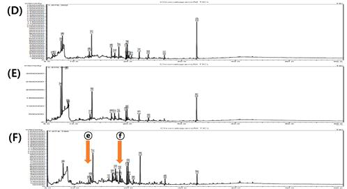 Z. mobilis ZM4, ZM401, ZAM2의 배양액을 ethanol을 용매로 하여 분획한 시료 의 GC-mass spectrum 분석 결과. (D) ZM4의 GC-mass 결과, (E) ZM401의 GC-mass 결과, (F) ZAM2의 GC-mass 결과이다. ⓐ 4H-Pyran-4-one, 2,3-dihydro-3,5-dihydroxy-6-methyl-의 peak, ⓔ DL-Proline, 5-oxo-, methyl ester의 peak, ⓕ Pyrrolo[1,2-a]pyrazine-1,4-dione, hexahydro-의 peak이다