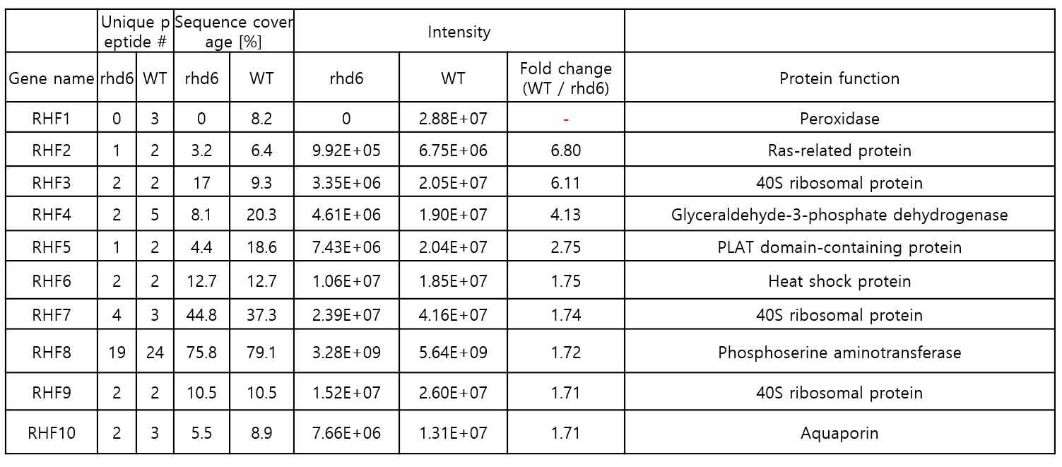 rhd6와 WT 애기장대 뿌리 크로마틴에서 RSL4 프로모터 부위에 대해 dCAS9/RHE-gRNA 체계, dCAS9 면역침강, 펩티드 질량 분석을 이용하여 동정한 단백질들. (rhd6에 비해 WT 크로마틴에서 1.7배 이상 풍부하게 발견된 단백질(유전자) 10종)