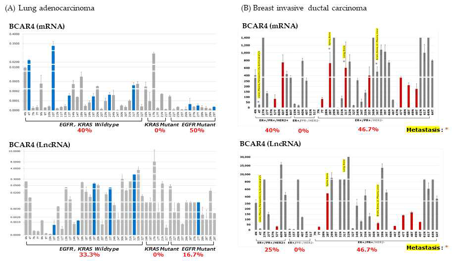 폐선암 환자 (A), 유방암환자(B) 의 정상조직 및 종양조직에서 BCAR4 발현 비교