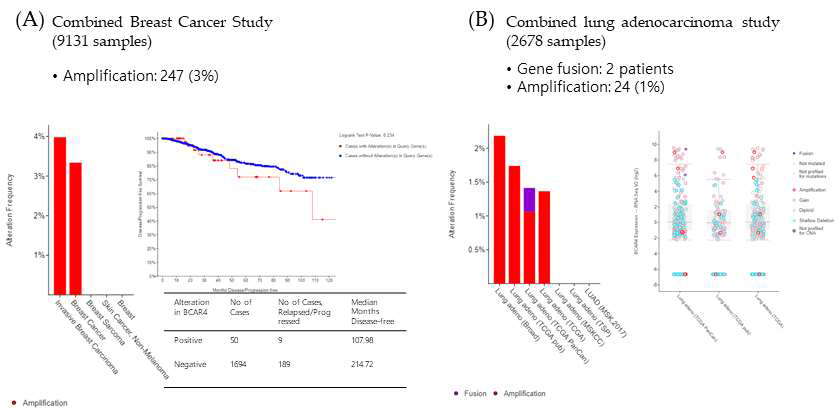TCGA 데이터베이스를 이용한 유방암, 폐선암의 BCAR4 발현 및 융합변이