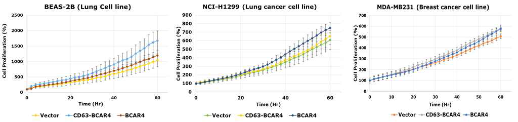 BCAR4 단백질, 융합단백질 과발현 세포주의 성장비교