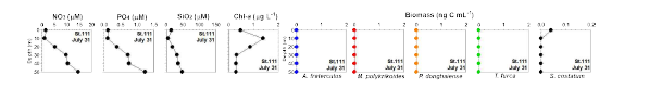 정점 111의 영양염류와 엽록소 및 주요 적조 종의 출현 농도 (2020년 7월 31일)