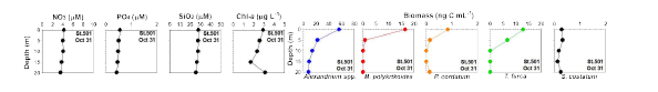 정점 501의 영양염류와 엽록소 및 주요 적조 종의 출현 농도 (2020년 10월 31일)