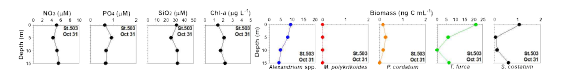 정점 503의 영양염류와 엽록소 및 주요 적조 종의 출현 농도 (2020년 10월 31일)