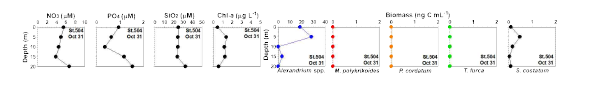 정점 504의 영양염류와 엽록소 및 주요 적조 종의 출현 농도 (2020년 10월 31일)