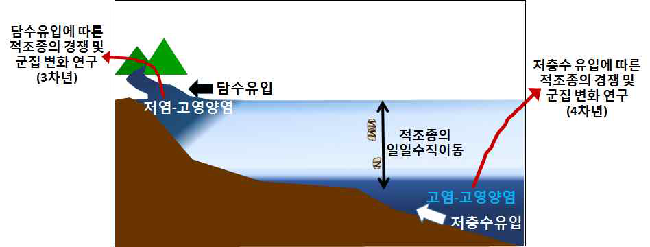 표층수와 저층수내에서의 적조종들의 경쟁 및 군집 변화 연구의 모식도