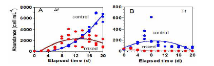 A. fraterculus(Af)와 T. fusus(Tf)와 간의 경쟁우위 실험 결과