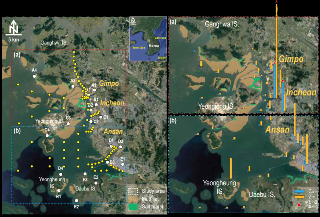 경기만 조간대 및 조하대 정점 내 수층의 중금속 (Cu, Zn) 분포