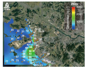 경기만 퇴적물 내 PAHs 분포