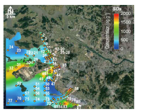 경기만 퇴적물 내 SOs 분포