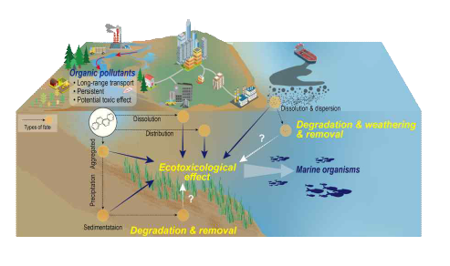 유해물질 거동 및 연안 자정작용 모식도