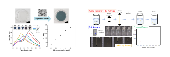 바이오고분자 하이드로젤 소재 기반 chemical sensors 및 actuators 개발 연구