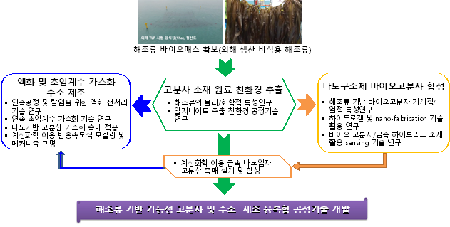 해조류 기반 기능성 고분자 및 수소 제조 융복합 공정기술 개념도