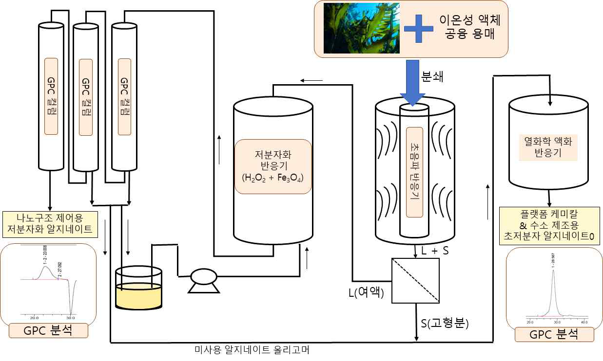 바이오고분자 친환경 추출 및 액화 공정 개략도