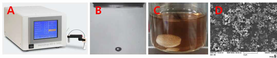 (A) 바이오고분자 마이크로입자 합성을 위한 Microjetting 장비 사진과 (B) micro-droplet 형성 이미지. (C) Ag 나노결정을 포함하는 마이크로입자 수용액 및 (D) 마이크로 입자 표면에 존재하는 Ag 나노결정의 SEM 이미지