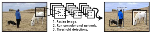 YOLO Detection System