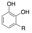 우루시올(urushiol)의 화학구조. R- 작용기에 따라 여러 가지 종류의 카테콜계 분자들이 옻칠액에 존재함