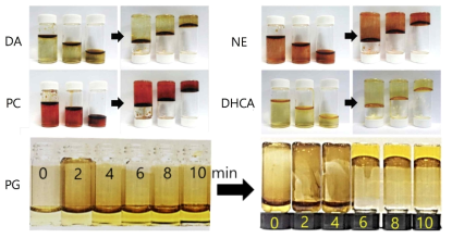 다섯 가지 카테콜계 물질 (DA: dopamine, NE: Norepinephrine, PC: Pyrocatechol, DHCA: 3,4-dihydroxyhydrocinnamic acid, PG: pyrogallol)의 물/공기 계면상의 접착성 필름 형성