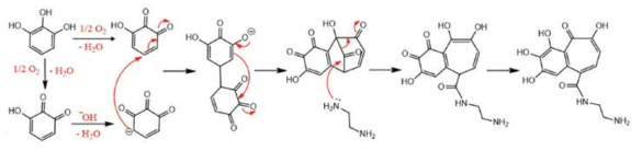 천연 접착소재인 옻의 화학구조를 모사한 파이로갈롤/에틸렌다이이민과의 화학반응 메커니즘