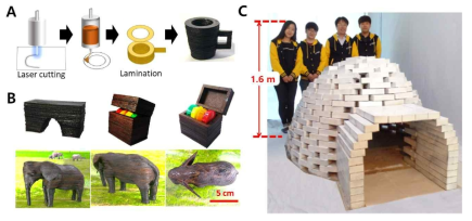 A 옻 기반 카테콜 아민계 접착제를 적용한 LOM 방식의 3D 프린팅 도식, B 아치형 교각, 상자, 코끼리모형의 3D 구조체, C 종이 상자를 활용한 이글루