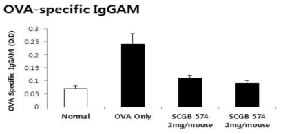 SCGB-574에 의한 OVA 특이 IgGAM의 생성억제