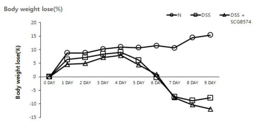 IBD모델에서 체중감소에 대한 SCGB-574의 효과