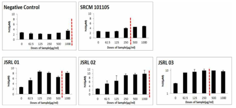RAW 264.7 대식세포에서 JSRL 균주에 의한 NO 유도