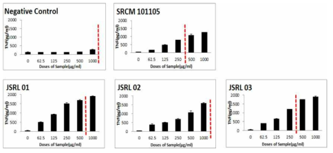 RAW 264.7 대식세포에서 JSRL 균주에 의한 TNF-a 유도