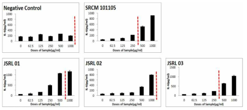 RAW 264.7 대식세포에서 JSRL 균주에 의한 IL-6억제