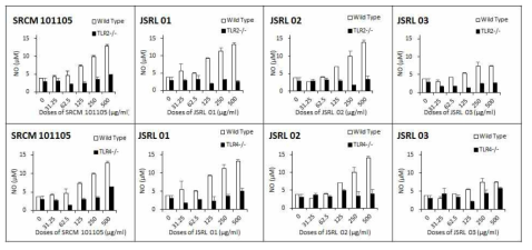 TLR-2 혹은 TLR-4 K/O 마우스 BMDM세포에서 NO 생성 유도