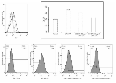 SCGB-574에 의한 세포 내 Ca++ 유입 억제