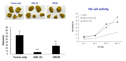 JSRL03 및 SRCM의 NK세포 활성화에 의한 암전이 억제