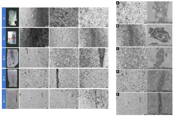 1, 3, 6, 9, 12회 단접강괴의 단면과 미세조직 (X50)