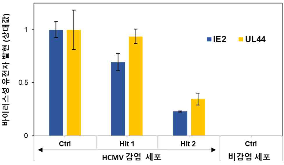 2종의 약물후보군을 통한 바이러스성 유전자 (HCMV mRNA)의 발현 억제를 qRT-PCR 분석법으로 확인