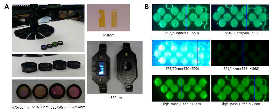 A. 4종의 band pass filter와 2종의 high pass filter. B. 6종의 필터 사용 시 입자의 형광 패턴 비교