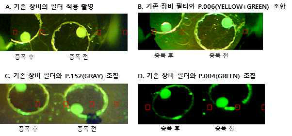 입자용 형광 필터 test